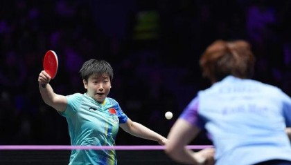 开云-王楚钦、孙颖莎，无缘单打四强